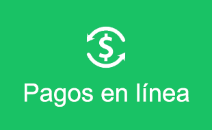 Banner Pagos en Linea - Home